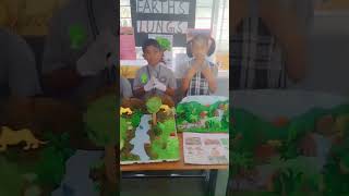 Foresration Projects at VSS #easyprojects #shorts #projects #forestproject