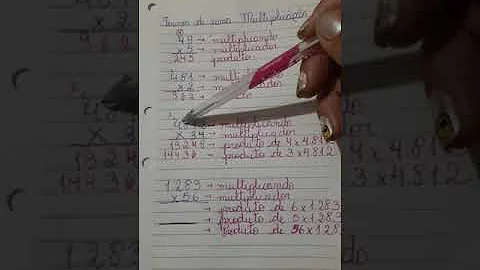 Qual a instância mais importante da ONU e como ela é organizada?