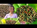 Snail Cooking and Eating | Healthy Snail Recipe | Cooking Traditional Style in Village | Northeast