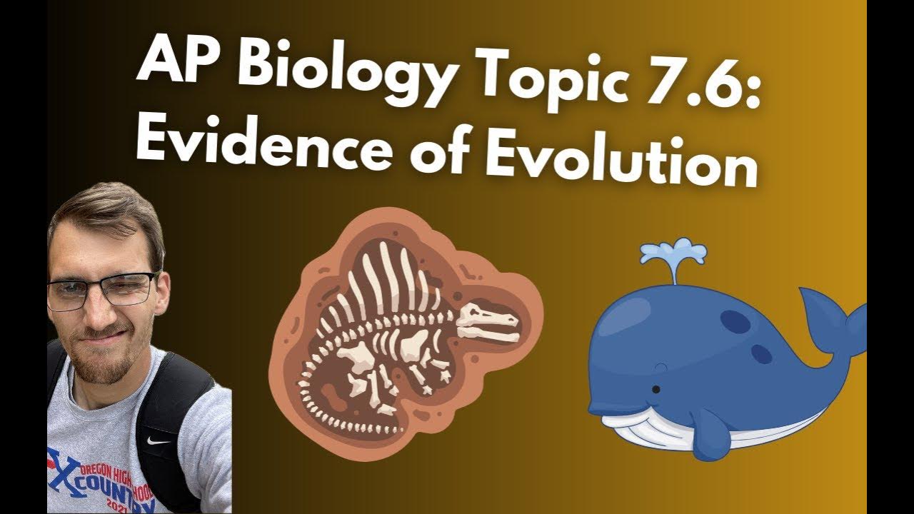7.6 Evidence of Evolution - AP Biology - YouTube
