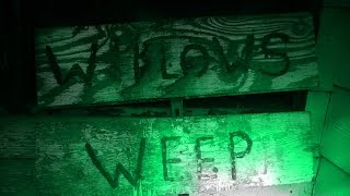 Famous Interface Death - Willow's Weep (Brenda Johnson Interview) Wealth