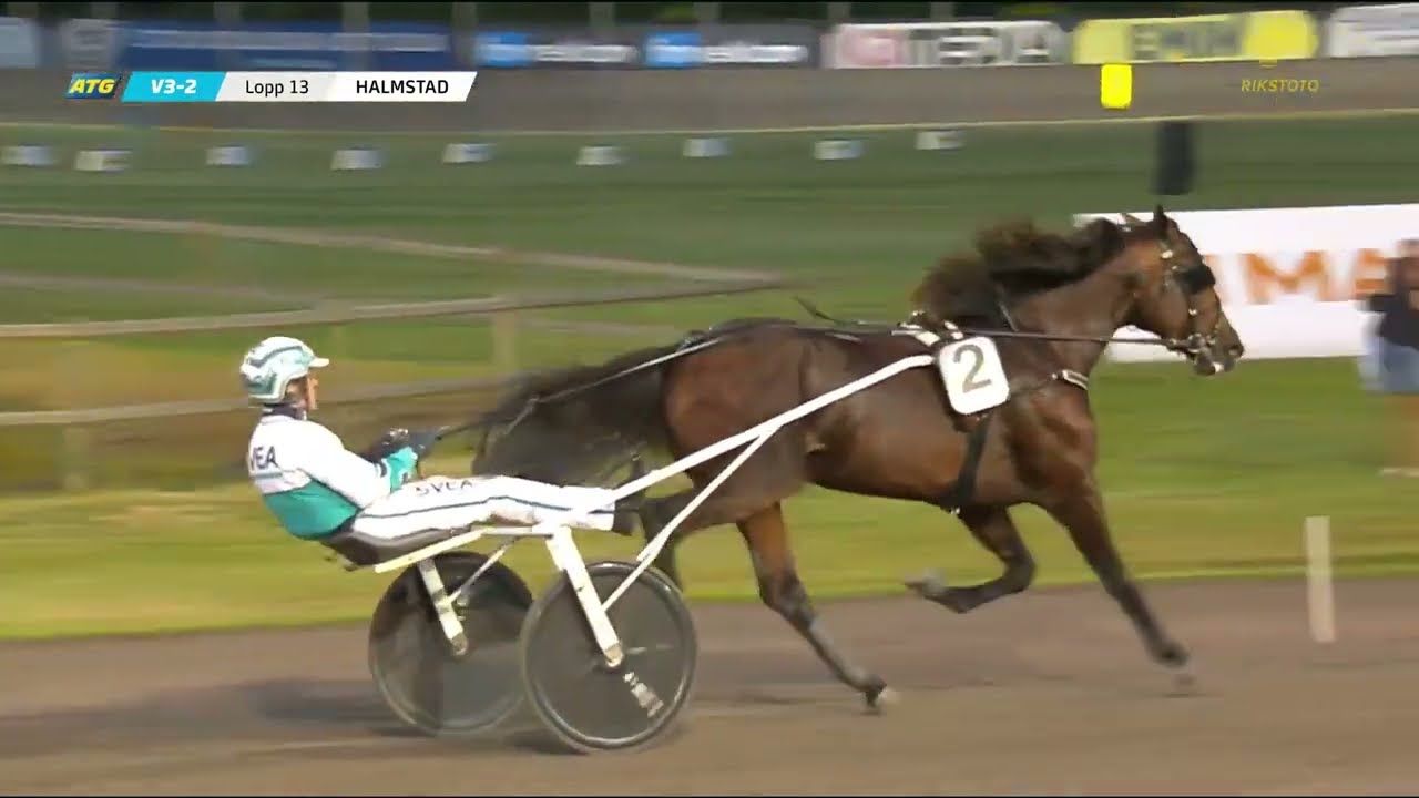 Sprintermästaren 2022 - Francesco Zet - 1,09,4