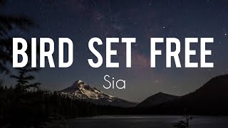 Bird set free - sia (lyrics)