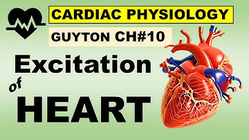 Ch#10 Physiology Guyton | Excitation of HEART | Sinus Node | Pace Maker | Cardiac Physiology