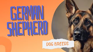 German Shepherd: The Loyal and Versatile | Dog Breeds