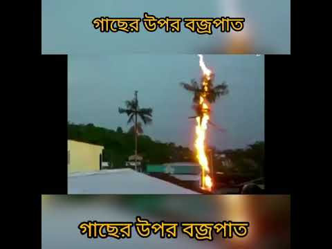 ভিডিও: সব বজ্রঝড়ই কি বজ্রপাত করে?