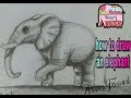 رسم فيل بالخطوات للمبتدئين  How to draw an elephant step by step for beginners