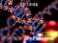 01300186.  DNA (infcam.net)