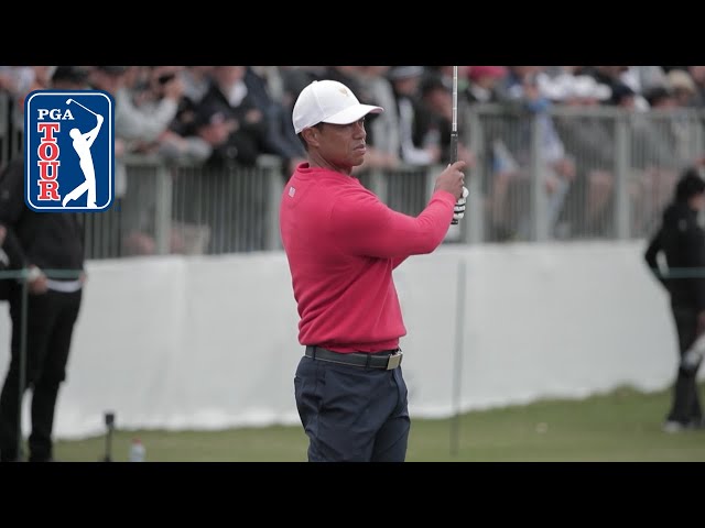 Can a pro hit the same specs as Tiger Woods?] We examine whether