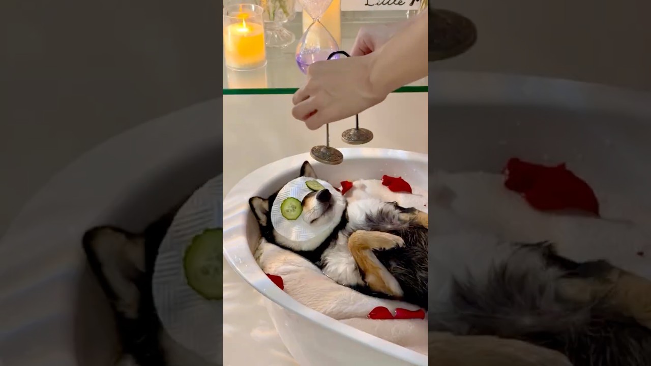 ASMR | Manyu’s Immersive Spa Care & Bath Time 썸네일