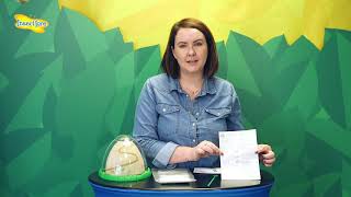 Insect Lore -  Ant Hill Habitat