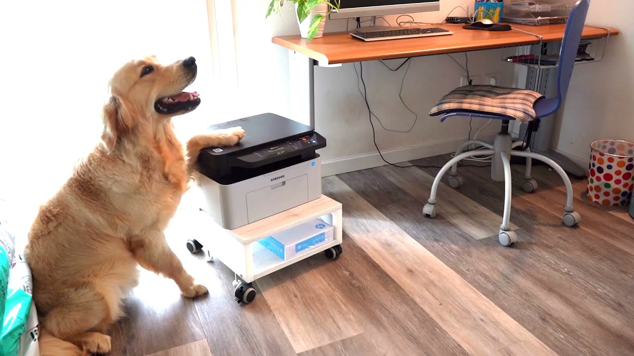 Wood printer stand on wheels for home office