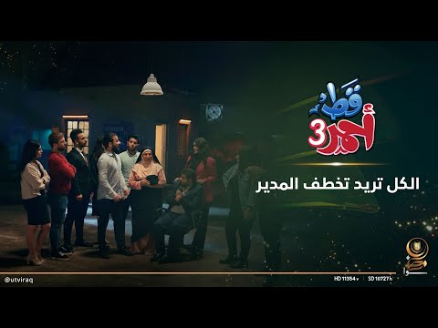 الكل تريد تخطف المدير
