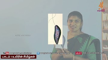 FB2 KITE Palakkad STD 6 Basic Science Chapter 1 Episode 1 (First bell 2 Tamil medium   பஸ்ட் பெல் 2)