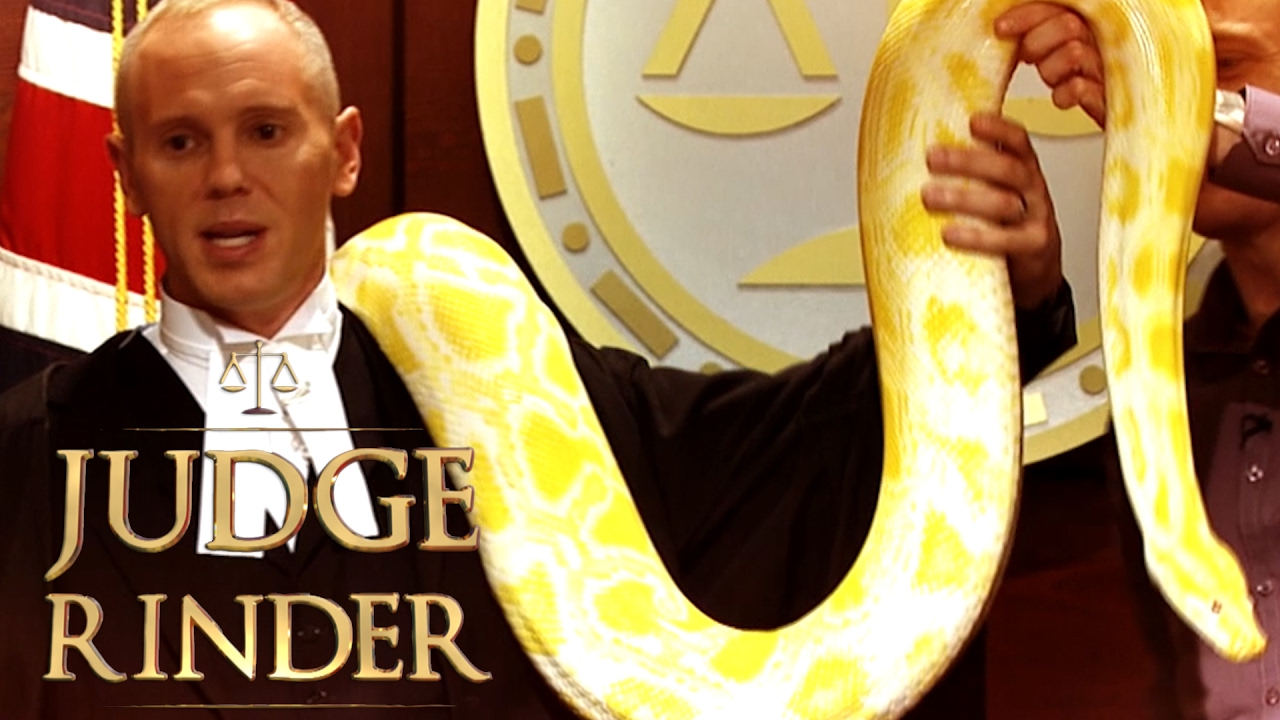 Judge Rinder Holds a Huge Snake! Sneak Peek Judge Rinder YouTube