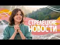 Q&A: Мои мечты и планы, новости, советую книги