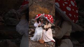 Download Lagu Fairy dance🍄 #harpyhare #fairydance #medieval #sisterdance #fantasy #fantasydance #elf #fairytale MP3 Download Lagu Fairy dance🍄 #harpyhare #fairydance #medieval #sisterdance #fantasy #fantasydance #elf #fairytale MP3