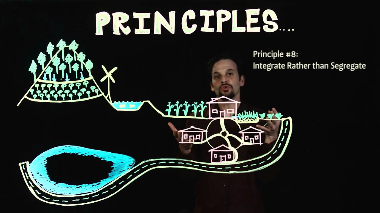 ⁣The Permaculture Principles