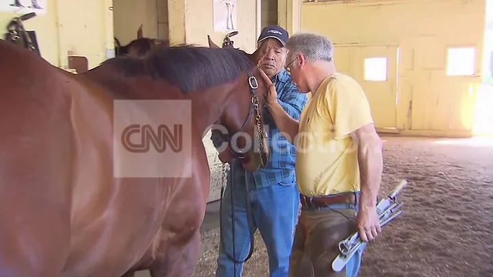 BELMONT PARK'S 2ND GENERATION FARRIER