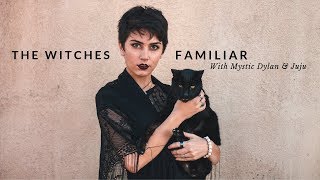 The Witches Familiar with Dylan || Coven Craft