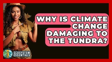 Why Is Climate Change Damaging To The Tundra? - Ecosystem Essentials