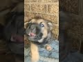 ЁЯзбYaya ЁЯзбЁЯдЩЁЯдЩЁЯдЩ ЁЯзбYaya ЁЯзбЁЯдЩЁЯдЩЁЯдЩ