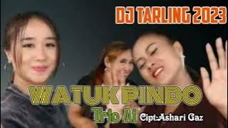 DJ Watuk Pindo Trio Ai (astri ananta,airin jani,novi silvia)