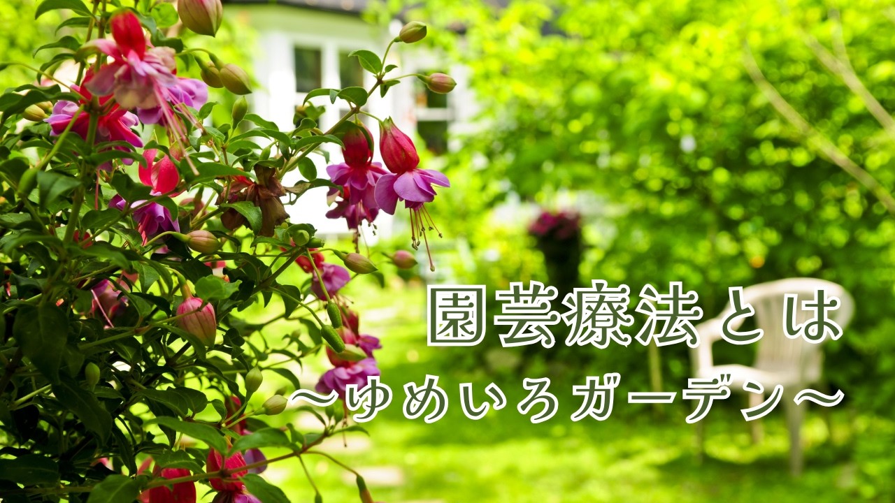 やさしいセラピー園芸療法について