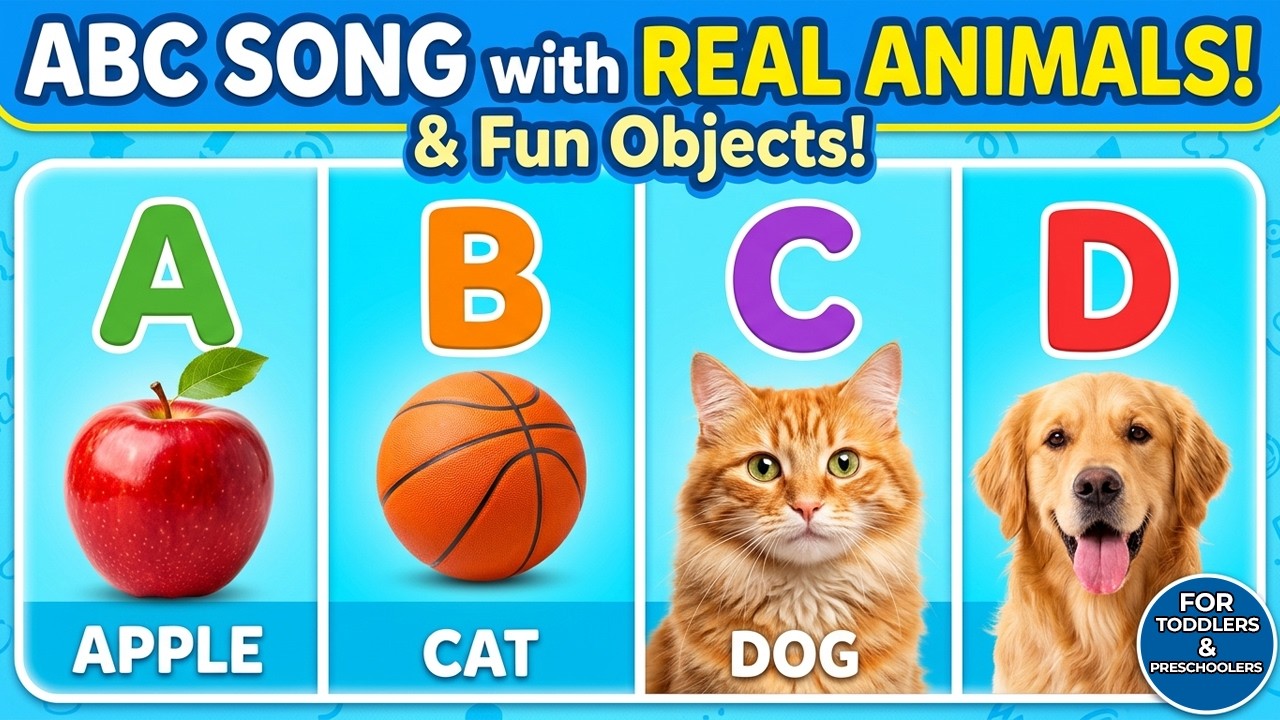 Real Abc ABC Song with REAL Animals & Objects! 🦁| Learn the Alphabet A to Z for ...