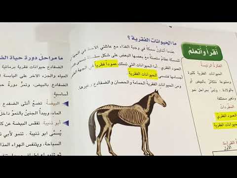 الحيوانات الفقرية علوم الصف الرابع الابتدائي ص ٨٠ شرح مع ملخص وحل الاسئلة ست مريم