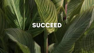SUCCEED MEANING - WHAT IS SUCCEED? - ENGLISH DICTIONARY #english #dictionary #wordle #words