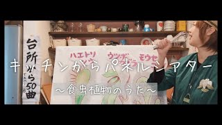 【オリジナルパネルシアター】食虫植物のうた