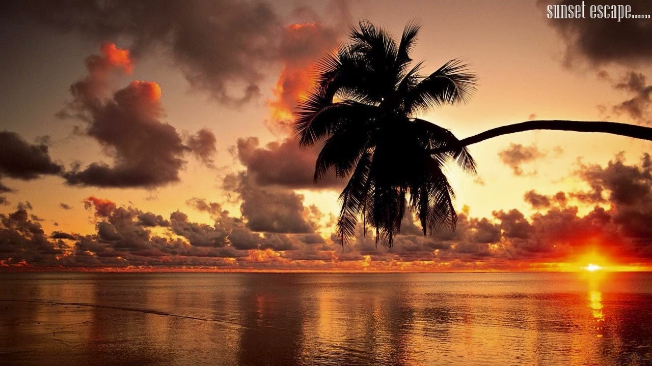 Best Of Autumn Dj Set - SunSet Escape