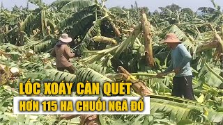 Đồng Nai: Lốc xoáy đi qua, càn quét hơn 115 ha chuối ngã đổ