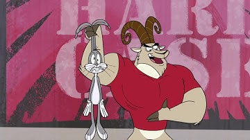 Rock Hardcase I Wabbit I Boomerang Official