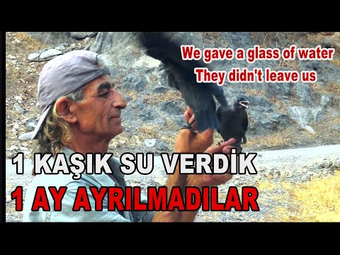 1 KAŞIK SU VERDİK 1 AY AYRILMADILAR / We gave just a glass of water and they didn't leave us