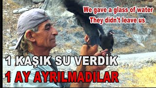 1 KAŞIK SU VERDİK 1 AY AYRILMADILAR / We gave just a glass of water and they didn't leave us