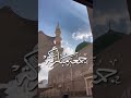 انوار الهادي طه 