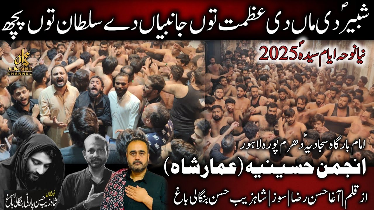 Shabbir Di Maa Di Azmat Tu Ja Nabian De | New Noha 2025 Shahzaib Hassan Party | Anjuman e Hussania 