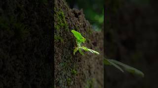 Photography Tutorial for Beginners | Learn Camera Settings & Pro Tips. #beginnerphotography