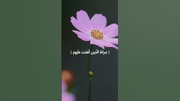 تلاوة خاشعة " سورة الفاتحة " للقارئ | يوسف عثمان .. #قرآن #تلاوات #رمضان #اكسبلور #سورة_الفاتحة