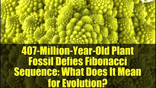 407-Million-Year-Old Plant Fossil Defies Fibonacci Sequence: What Does It Mean for Evolution?