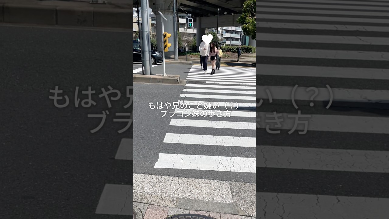 嫌われたら恐ろしいことになるのでは、、？😇#妹 #ブラコン #兄妹 #jiffcy #pr