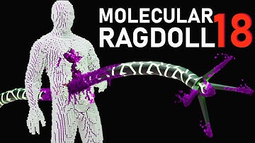 Molecular RAGDOLLS 18 (simulations)