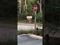 Mount Mitchell Pisgah national forest Asheville NC beginning