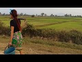 Amazing fishing at Battambang - people fishing in Cambodia - How to Catches fish (Part 69)