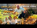 سمج مكسوف عراقي Iraqi Masqouf Fish 
