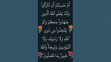 القران الكريم ما تيسر من سورة التوبة @أجملتلاواتالقرآنالكريم-ض8ظ #القران_الكريم #آيات  #سورة_التوبة