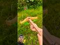 DIY unique bamboo slingshot with one arrow 👺#shorts #shortvideo #diy #trending #vlog