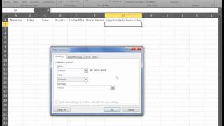 Famous Excel.008 - Series & Fillings - Data Validation - Custom Wealth